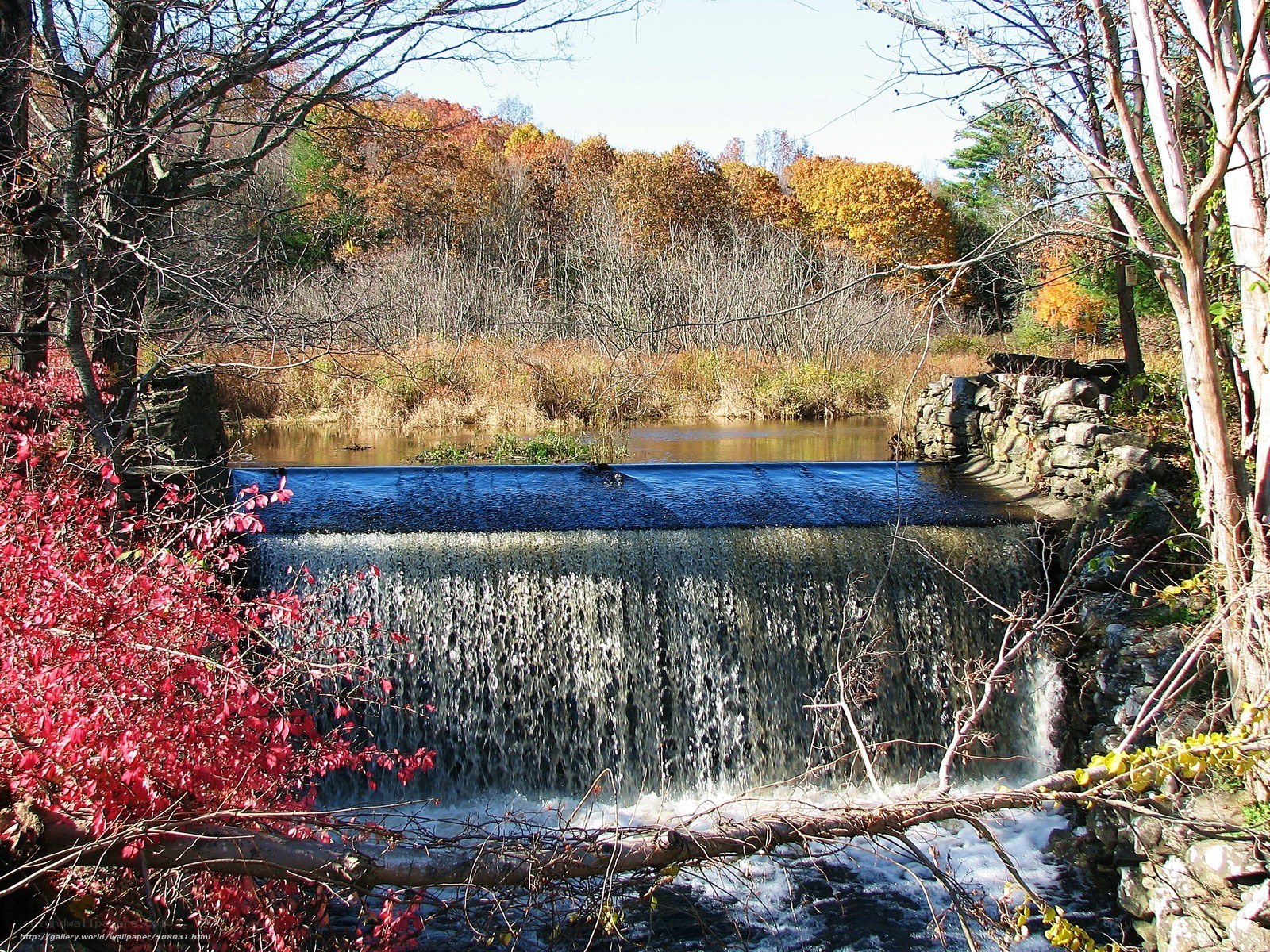 Autumn waterfall in the forest