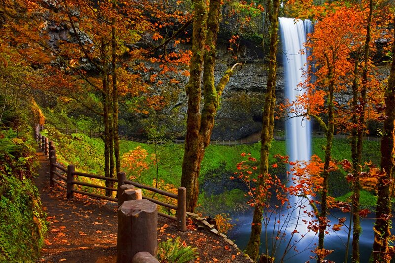Autumn Waterfall Landscape — Orange, Serene, Photograph