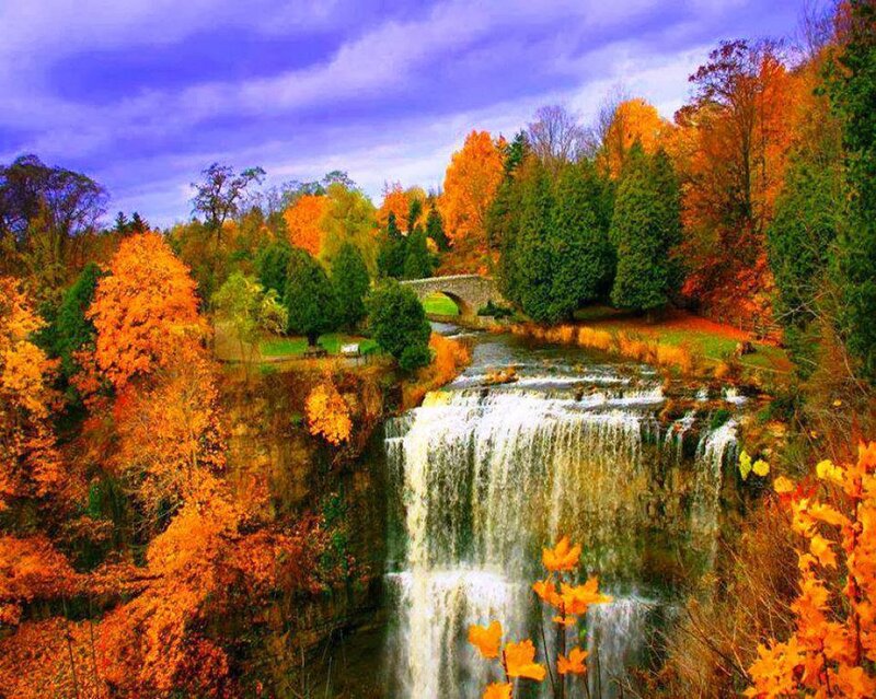 Autumn Waterfall Landscape — Orange, Serene, Photograph, Trees, River
