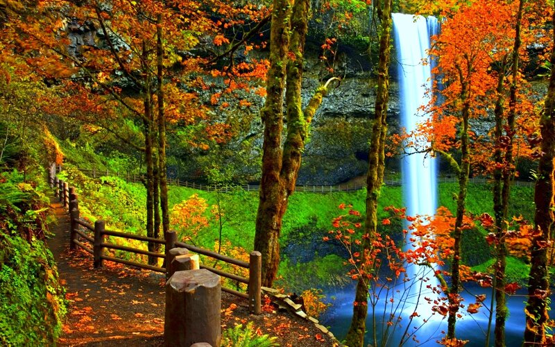 Autumn Waterfall Landscape — Orange, Serene, Photograph, Trees