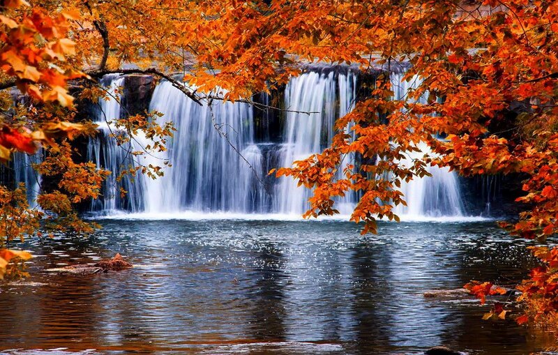 Autumn Waterfall — Orange, Serene, Photograph, Fallen Leaves, River