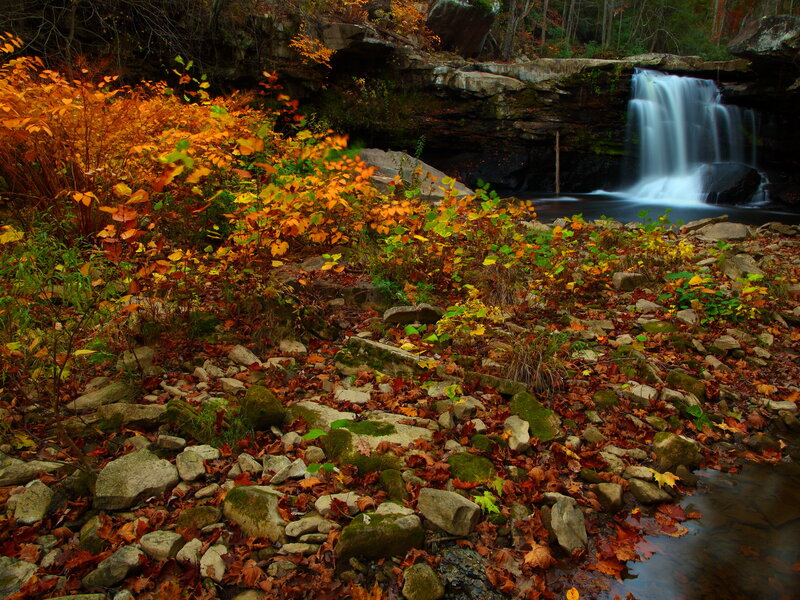 Autumn Waterfall — Orange, Serene, Photograph, Fallen Leaves