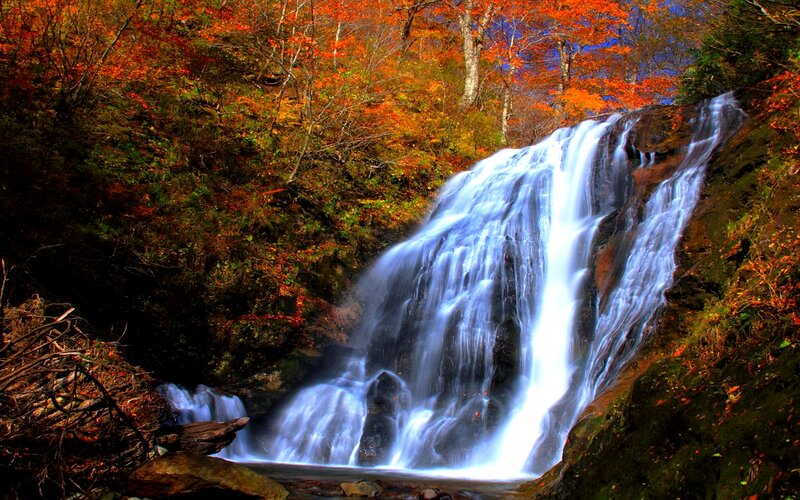 Autumn Waterfall — Orange, Serene, Photograph, Forest