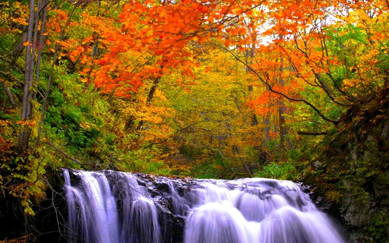 Autumn Waterfall — Orange, Serene, Photograph, Forest, Trees