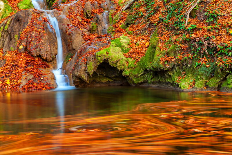 Autumn Waterfall — Orange, Serene, Photograph, Leaves
