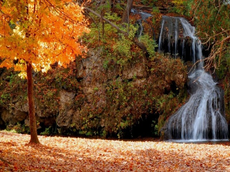 Autumn Waterfall — Orange, Serene, Photograph, Tree