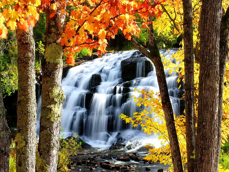 Autumn Waterfall — Orange, Serene, Photograph, Trees, Fallen Leaves