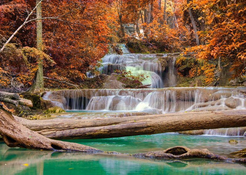 Autumn Waterfall — Orange, Serene, Photograph, Trees, Fallen Log