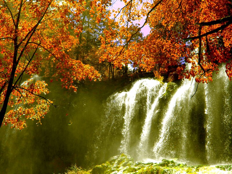 Autumn Waterfall — Orange, Serene, Photograph, Trees, Falling Water