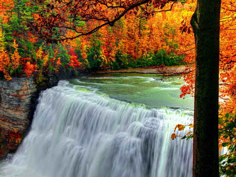 Autumn Waterfall — Orange, Serene, Photograph, Trees, River, Cliff