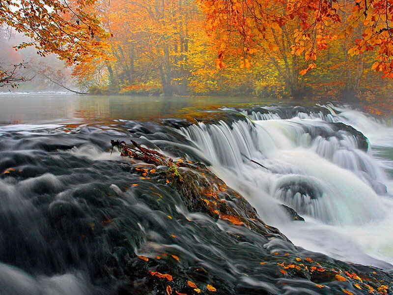 Autumn Waterfall — Orange, Serene, Photograph, Trees, River, Leaves