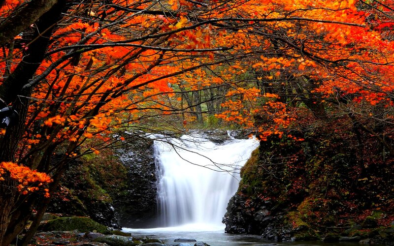 Autumn Waterfall — Orange, Serene, Photograph, Trees, River