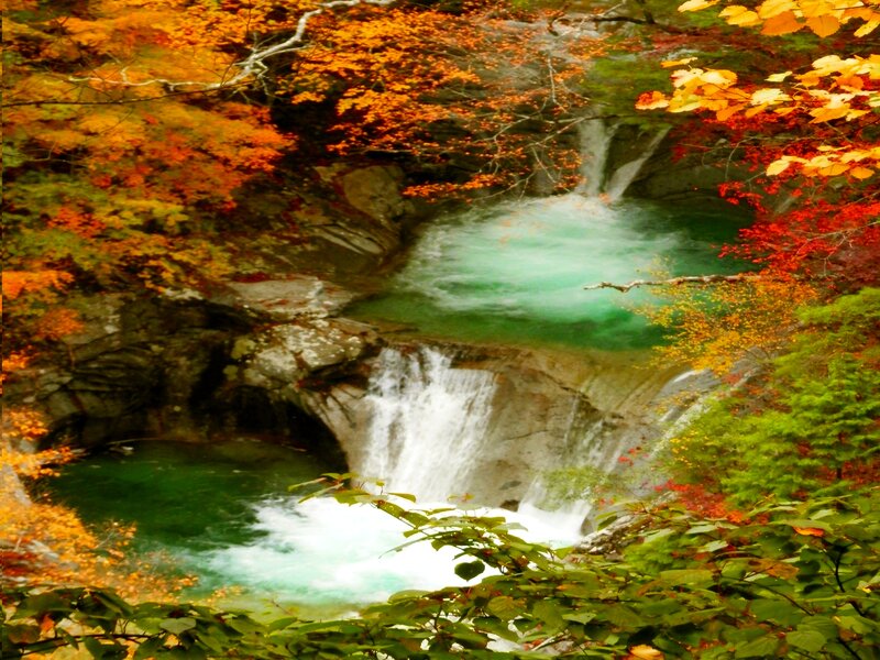 Autumn Waterfall — Orange, Serene, Photograph, Trees, Rocks, Pool