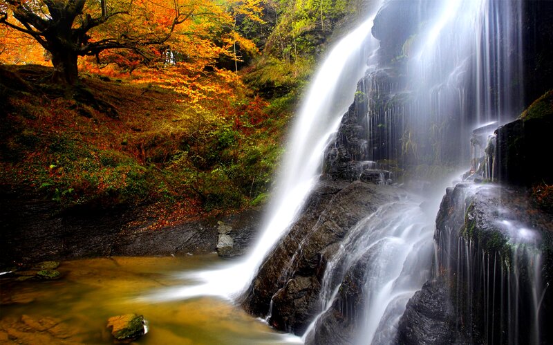 Autumn Waterfall — Orange, Serene, Photograph, Trees, Rocks, Stream