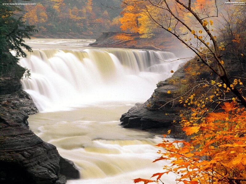 Autumn Waterfall — Orange, Serene, Photograph, Trees