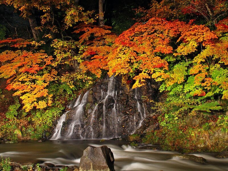 Autumn Waterfall — Orange, Serene