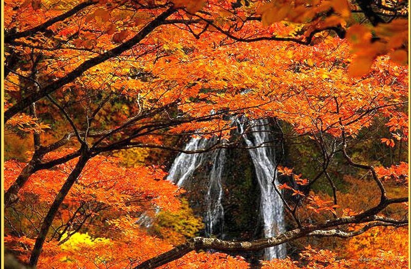 Autumn Waterfall — Orange