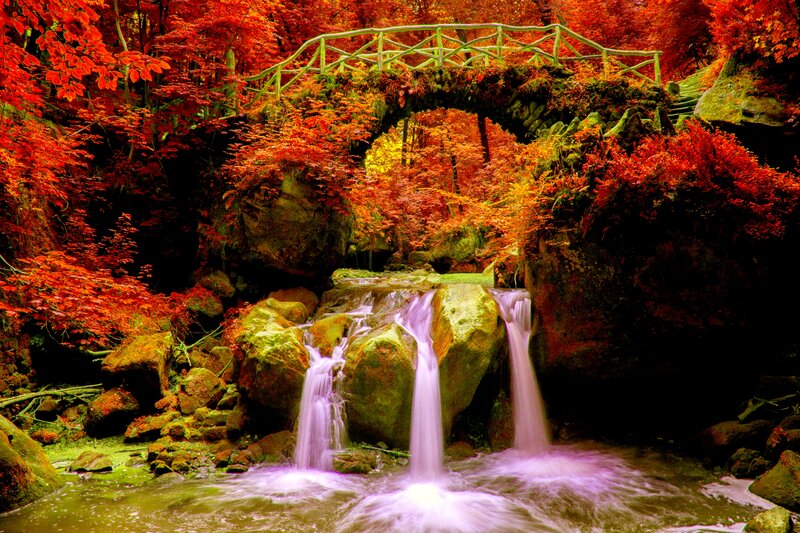 Autumn Waterfall — Red, Serene, Photograph, Bridge