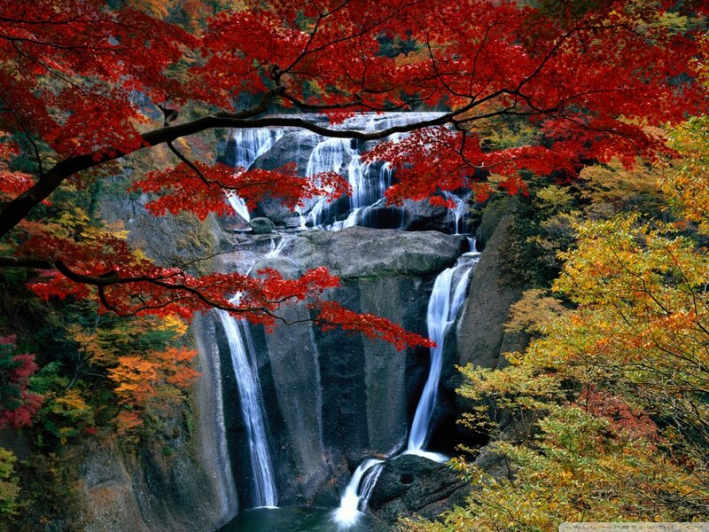 Autumn Waterfall — Red, Serene, Photograph, Fallen Leaves