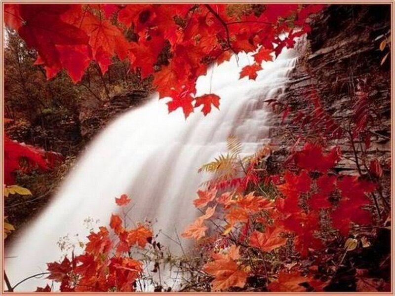 Autumn Waterfall — Red, Serene, Photograph, Maple Leaves