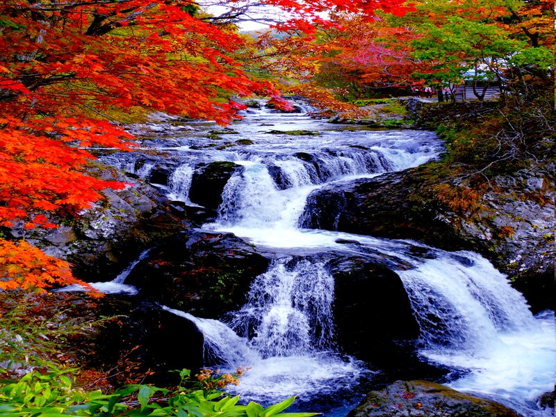 Autumn Waterfall — Red, Serene, Photograph, Maple Trees