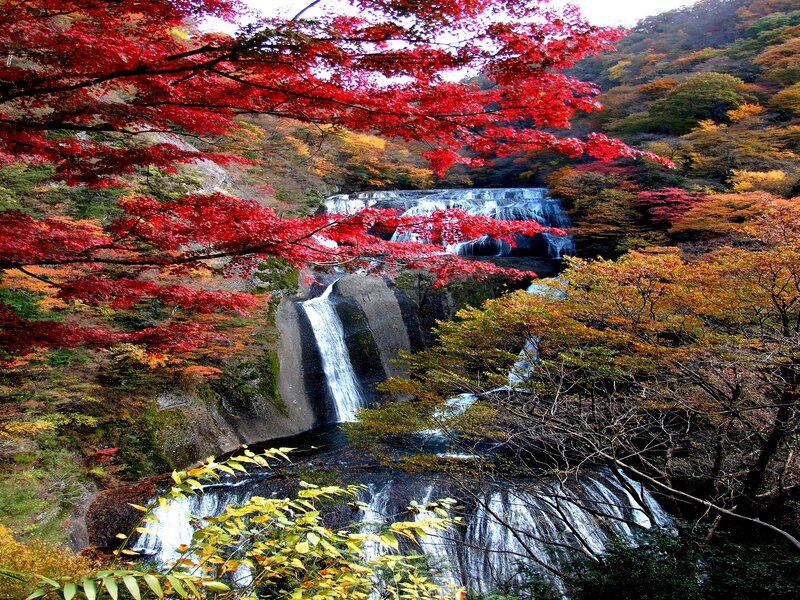 Autumn Waterfall — Red, Serene, Photograph, Trees, Forest, River