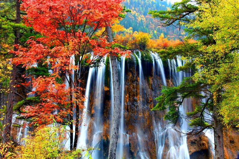 Autumn Waterfall — Red, Serene, Photograph, Trees, Forest
