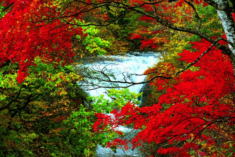 Autumn Waterfall — Red, Serene, Photograph, Trees, River, Forest