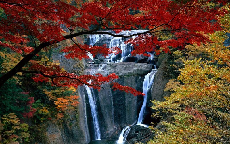 Autumn Waterfall — Red, Serene, Photograph, Trees, Rocks, Falling Water
