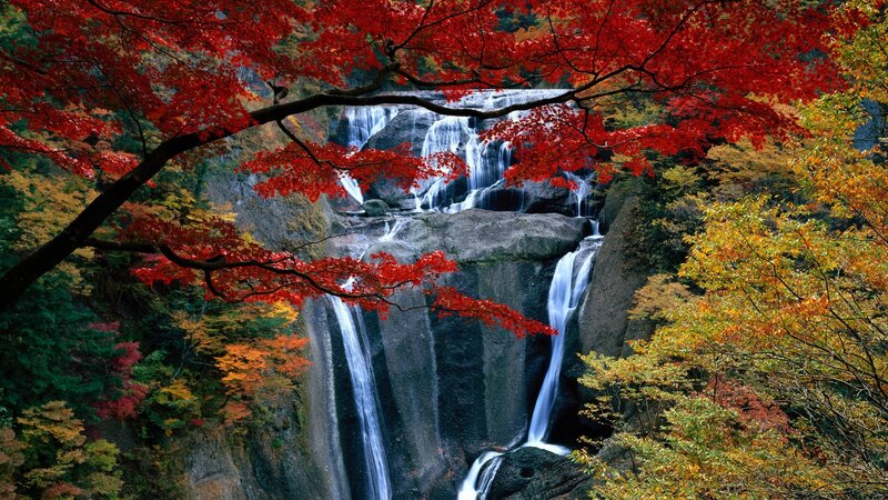 Autumn Waterfall — Red, Serene, Photograph, Trees, Rocks, Falling Water, Yellow