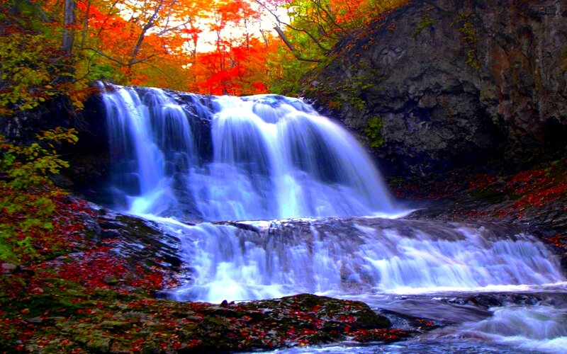 Autumn Waterfall — Red, Serene, Photograph, Trees, Rocks, Leaves