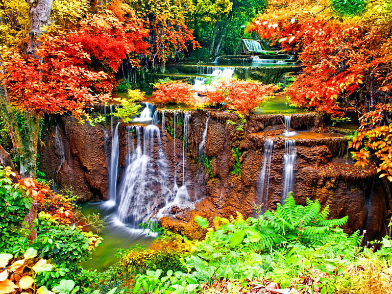 Autumn Waterfall — Red, Serene, Photograph, Trees, Rocks, Plants