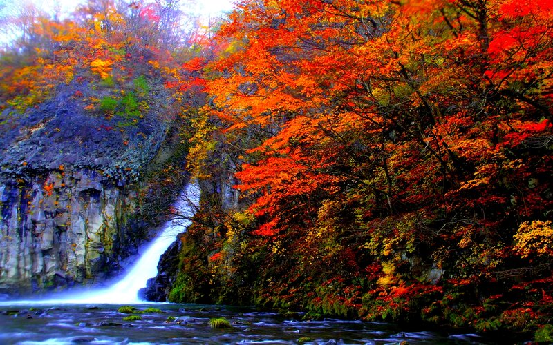 Autumn Waterfall — Red, Serene, Photograph, Trees