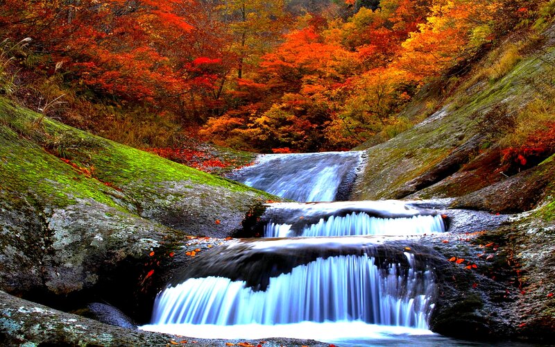 Autumn Waterfall — Red, Serene