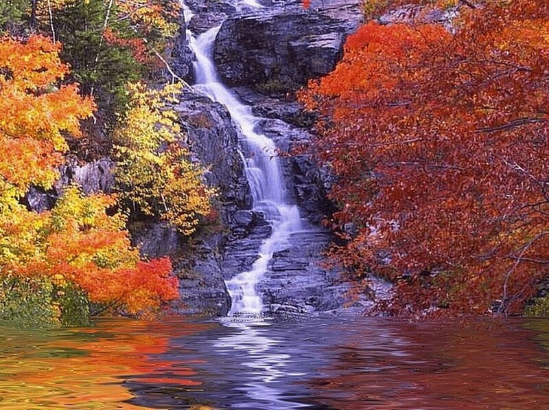 Autumn Waterfall — Red
