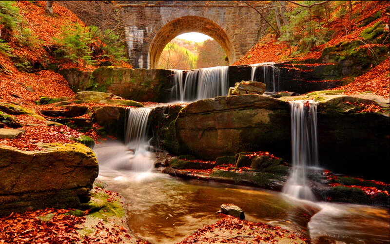 Autumn Waterfall Scene — Orange, Serene, Photograph