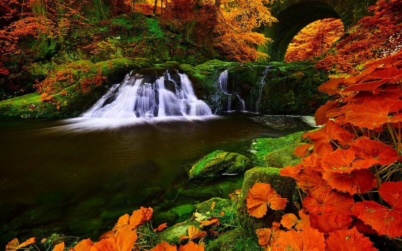 Autumn Waterfall Scene — Orange, Serene