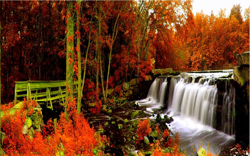 Autumn Waterfall Scene — Red, Serene