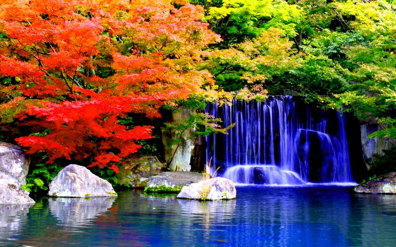 Autumn Waterfall Scene — Red