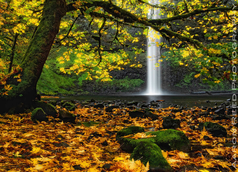 Autumn Waterfall Scene