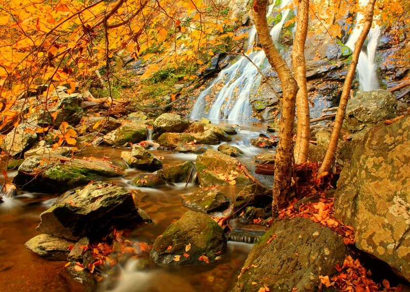Autumn Waterfall Stream