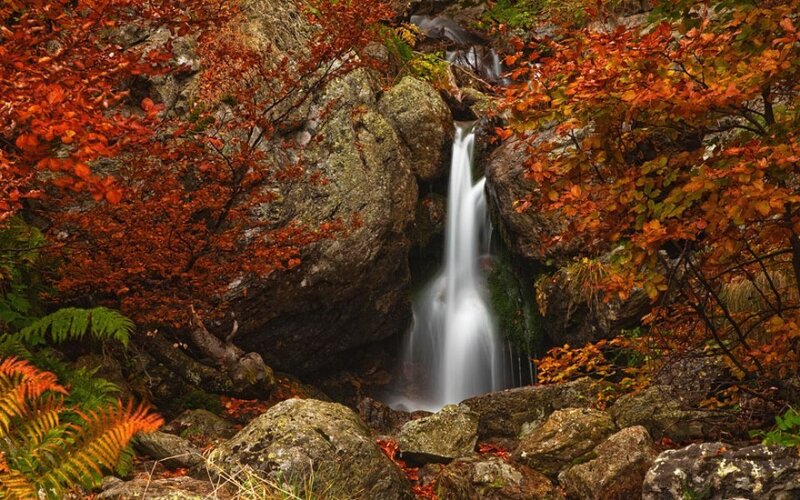 Autumn Waterfall