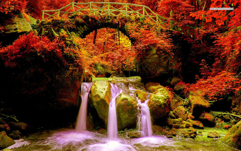 Autumn Waterfall under Bridge