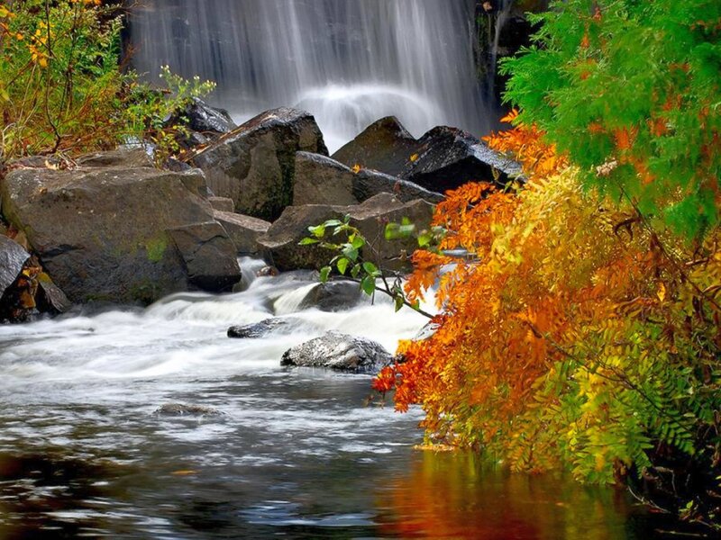 Autumn waterfall with colorful foliage