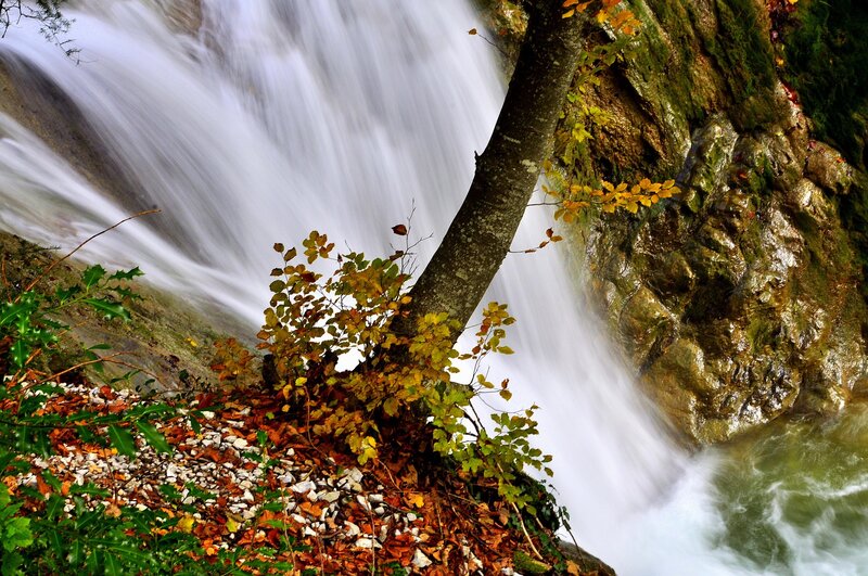 Autumn waterfall with colorful leaves
