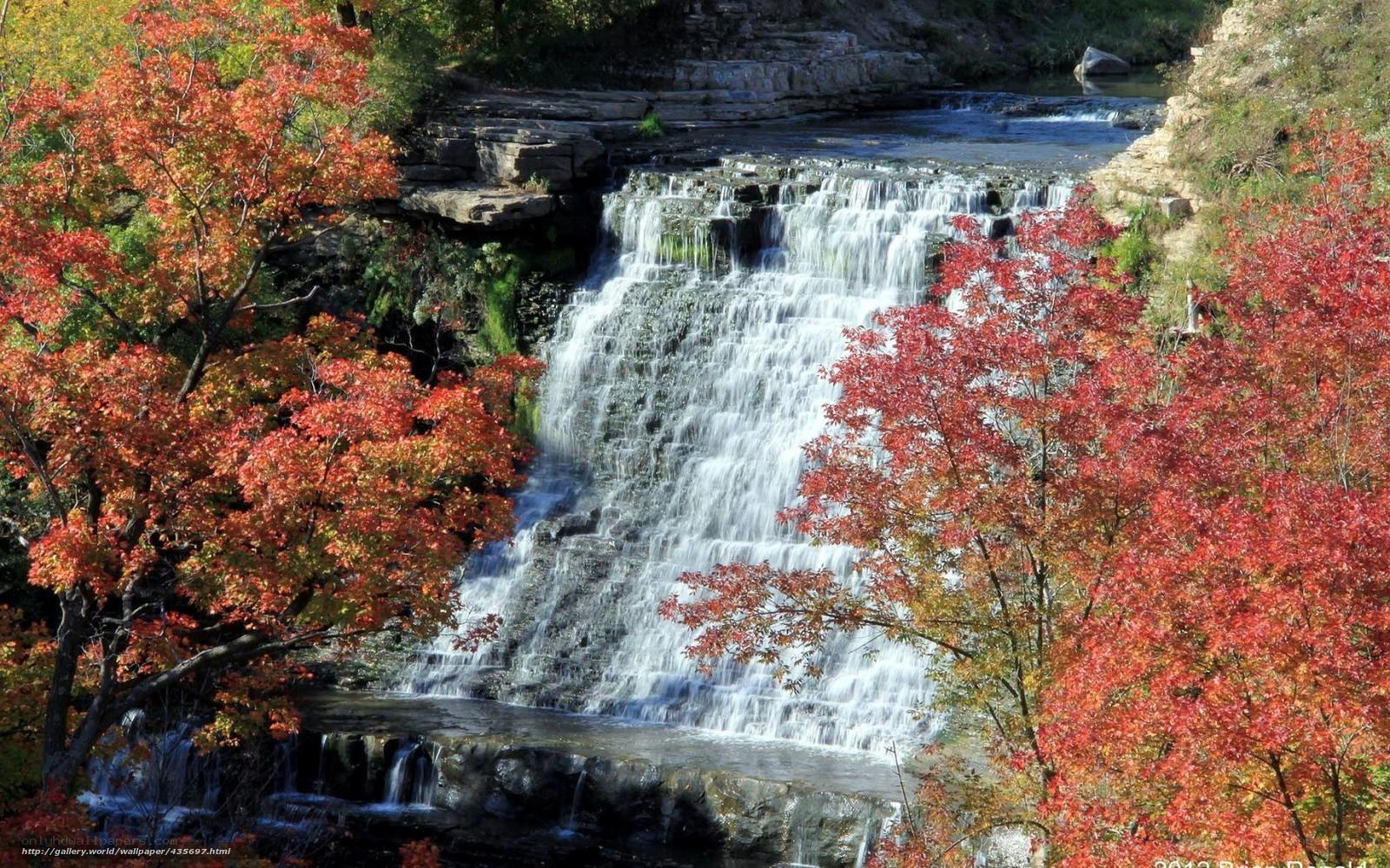 Autumn waterfall with colorful trees