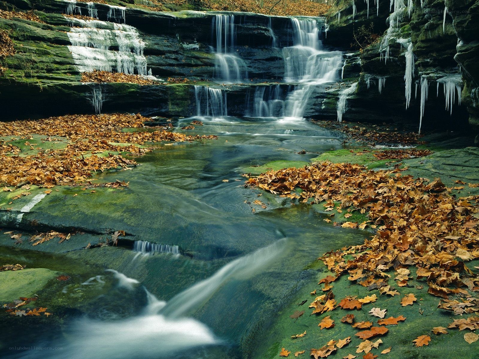 Autumn waterfall with ice