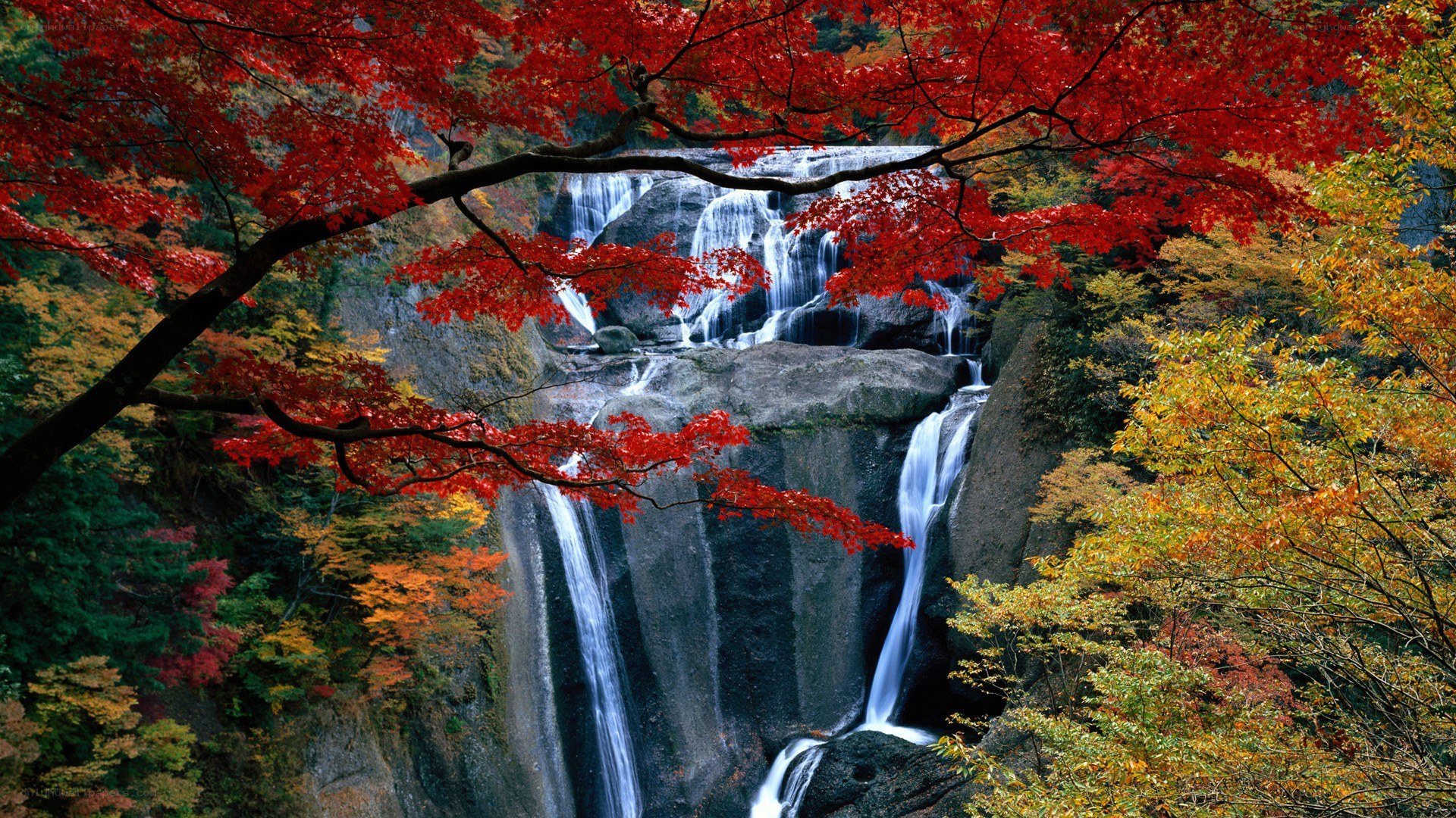 Autumn waterfall with red leaves