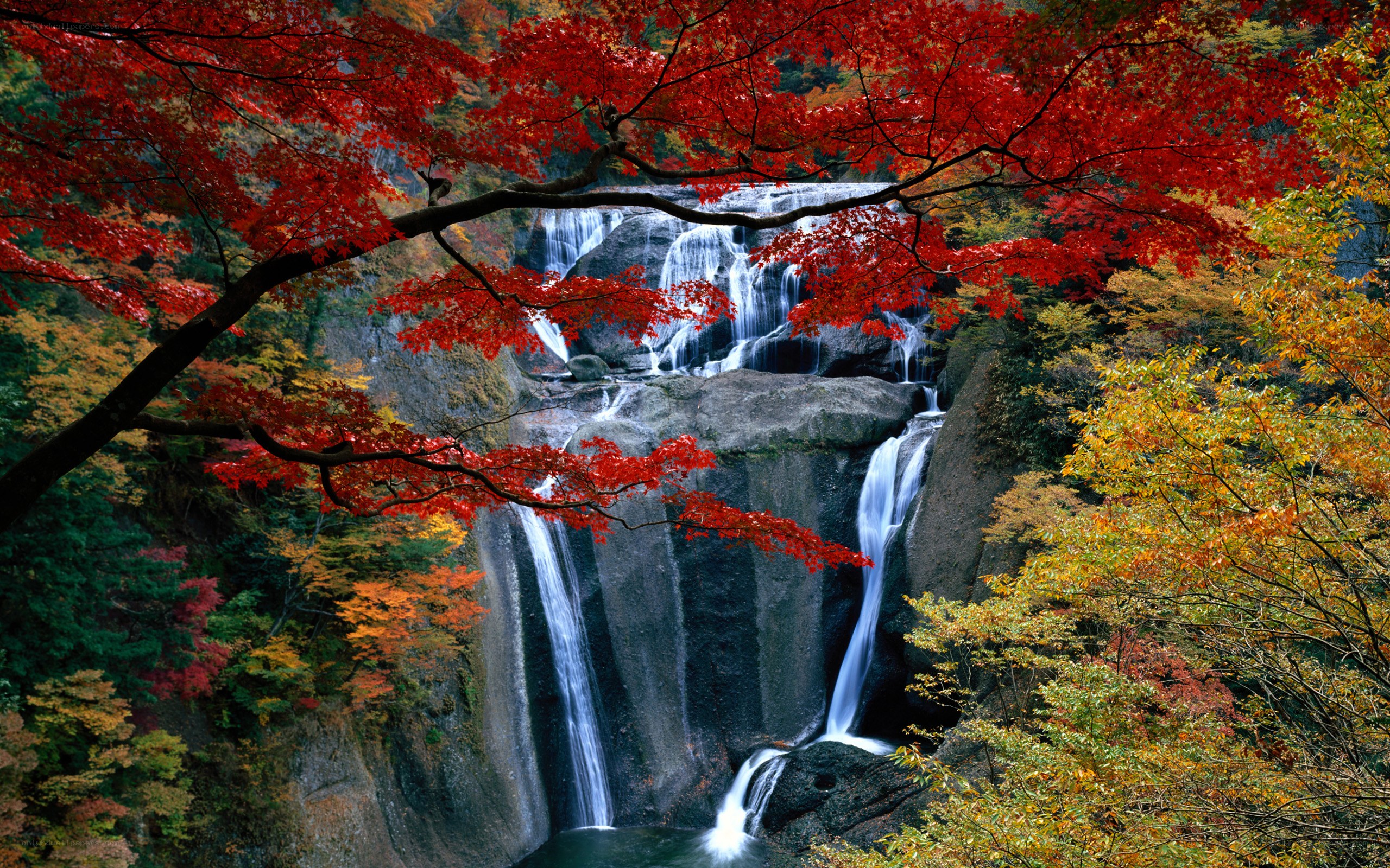 Autumn waterfall with red leaves