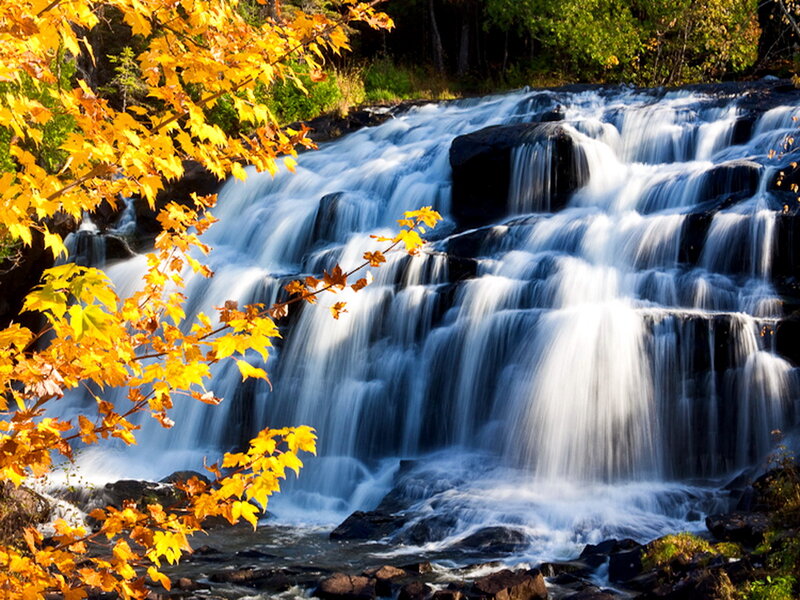 Autumn Waterfall — Yellow, Serene, Photograph, Fallen Leaves